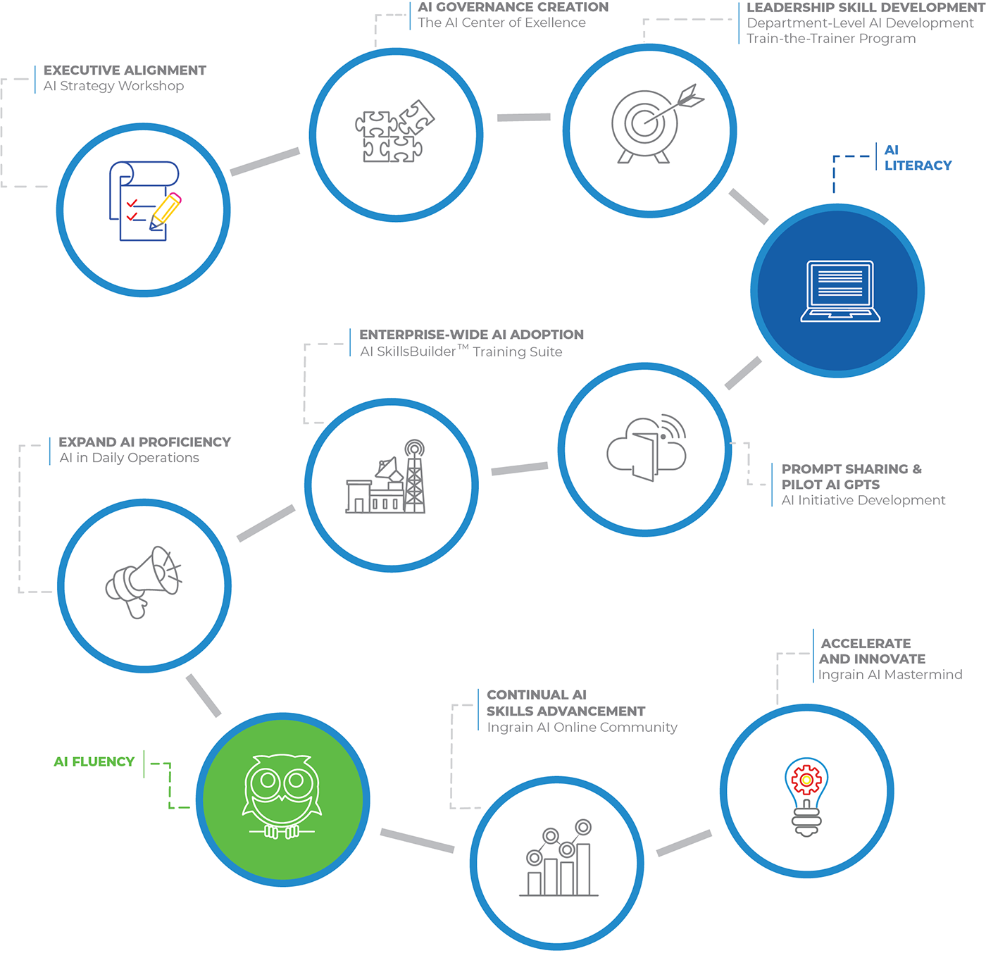 INGRAIN Roadmap graphic - 2025-06-13-1400