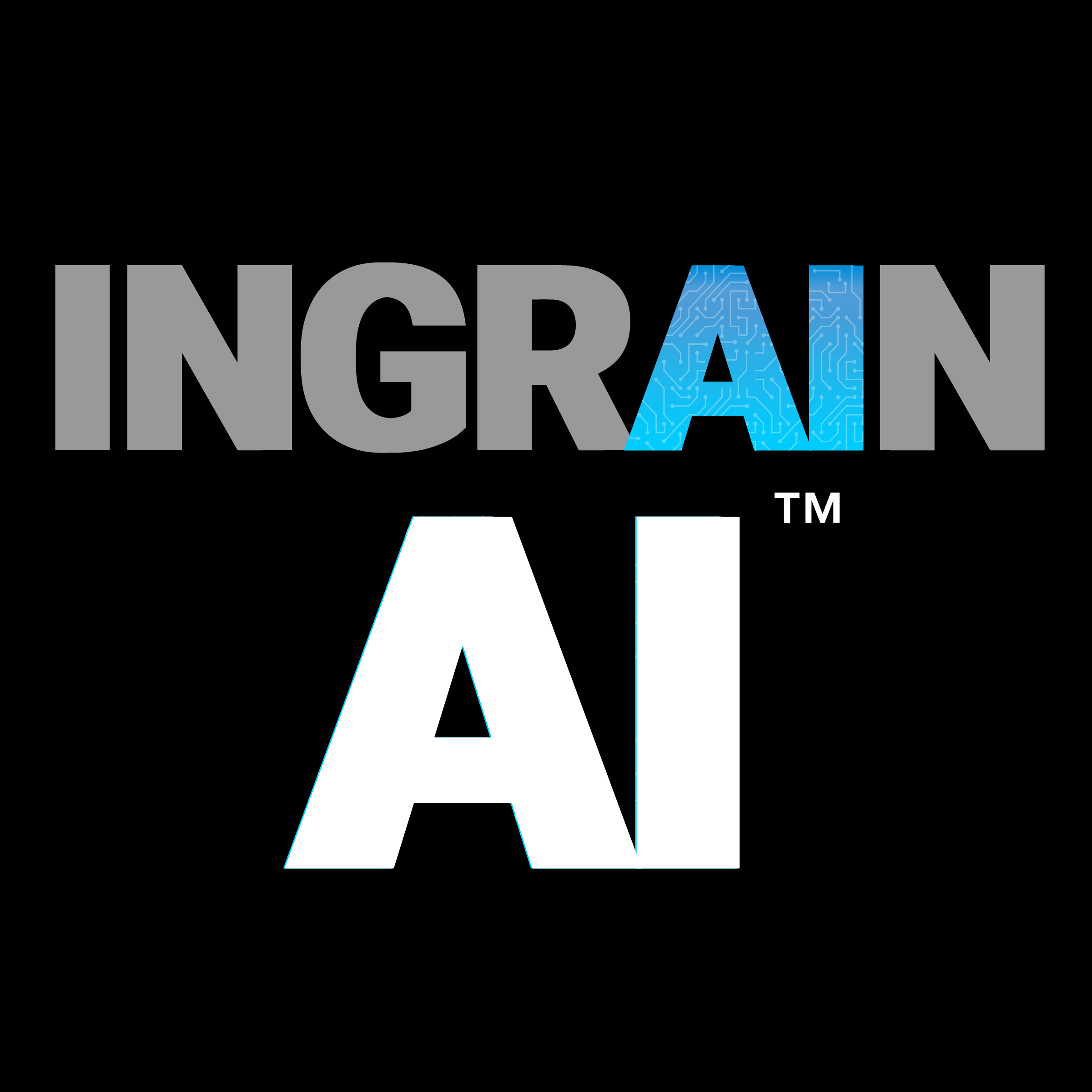 Iengain Corporate Training - INGRAIN AI Training for Businesses